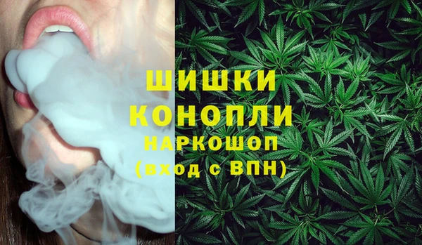 гашик Каменногорск