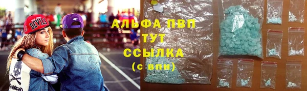 гашик Каменногорск
