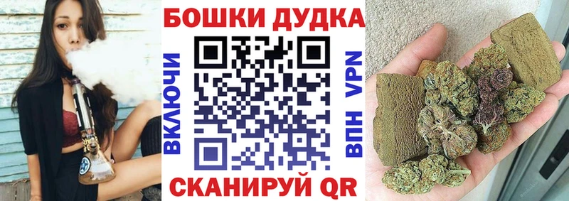 Бошки Шишки конопля Кызыл